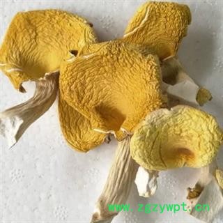 新辉药业云南特产优质野生猴头菌 鸡油菌 山珍菌汤包图2