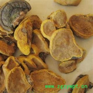 新辉药业桑黄灵芝 猢狲眼 桑耳图2