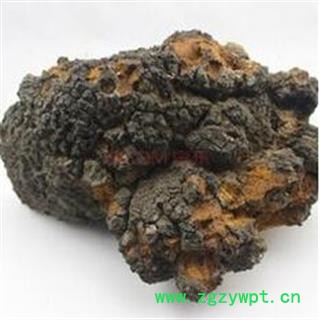 新辉药业白桦茸 桦褐孔菌 多种规格 大货批发图2