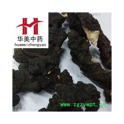 猪苓 野生猪苓统个 产地 黑龙江省 华美中药 产地直销 重在品质