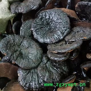 黑灵芝 实图拍照正品保证质量7天无理由退货退款 安品堂图3