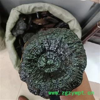 黑灵芝 实图拍照正品保证质量7天无理由退货退款 安品堂图2