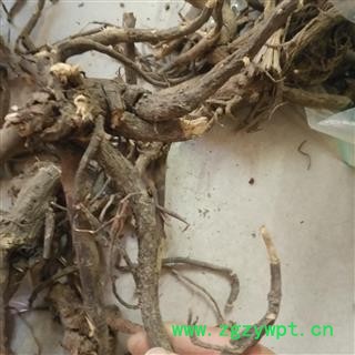 安祁名药正品 大戟 京大戟 另有红大戟图4