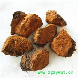 白桦茸 桦树茸正品保证质量7天无理由退货退款 中药材批发 丽丽药业图3