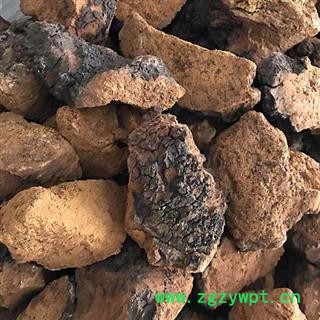 白桦茸 桦树茸正品保证质量7天无理由退货退款 中药材批发 丽丽药业图4