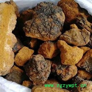 白桦茸 桦树茸正品保证质量7天无理由退货退款 中药材批发 丽丽药业图2