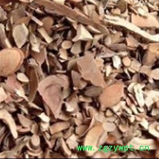 安祁名药乌药 天台乌药图2