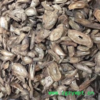 安祁名药精选牛蒡根  优质野生茶用图2