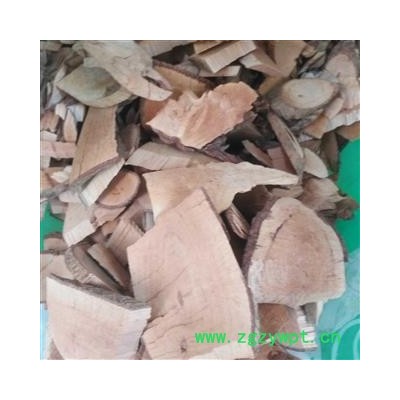 安祁名药 优质半枫荷 枫荷梨