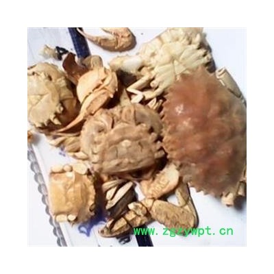 安祁名药螃蟹甲 方海