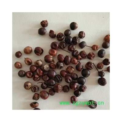 安祁名药 优质功劳子 枸骨子