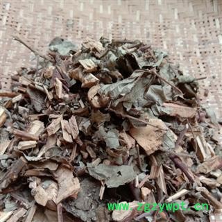 红毛刺五加 统货 产地 四川省成都市双流县图3