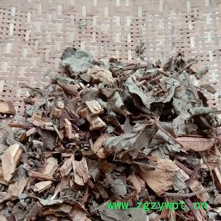 红毛刺五加 统货 产地 四川省成都市双流县图2