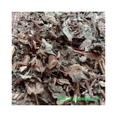 红毛刺五加 统货 产地 四川省成都市双流县