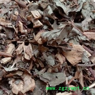 红毛刺五加 统货 产地 四川省成都市双流县图4