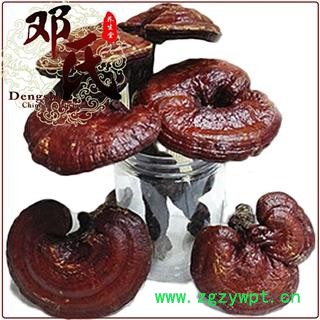 【满包邮】小个红灵芝1公斤起批散装批发 精选 产地 吉林省白山市抚松县 邓氏中药行图2