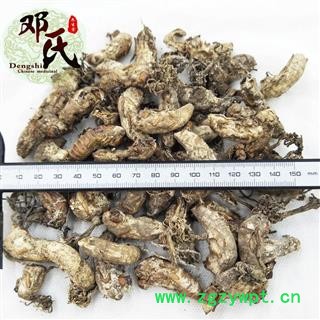 【满包邮】蝉花 蝉蛹草 金蝉花 蚕花 统货 优选品质 产地直供 邓氏中药材批发图3