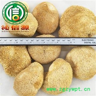 【满包邮】猴头菇个子统货散装云南产地直供猴头菌 刺猬菌 猬菌 猴菇沁信源中药材批发图2