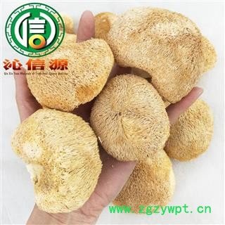 【满包邮】猴头菇个子统货散装云南产地直供猴头菌 刺猬菌 猬菌 猴菇沁信源中药材批发图3