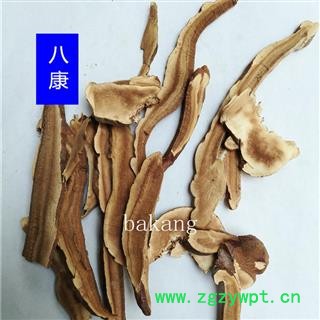 灵芝 01片 产地 山东省图2