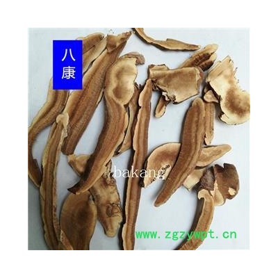 灵芝 01片 产地 山东省