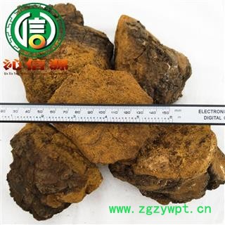 【满包邮】白桦茸统块散装黑龙江产地直供桦树茸 白桦泪 桦树泪 桦树黄 桦树菇 桦褐孔菌沁信源中药批发图2