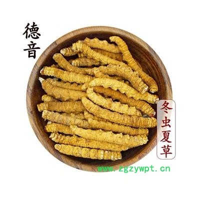【满包邮】大肉节去尾冬虫夏草 产地西藏那曲 中药材批发 规格齐全