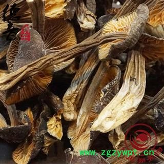 【满包邮】 黑鸡枞菌 产地 四川省 买好货 选德音 正品溯源 规范标准 三证齐全 全品类药材一站购齐图4