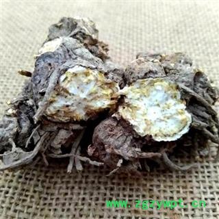 秦岭野生南苍术 苍术根 茅苍术 北苍术 南苍术手工采刨 日晒500g图2