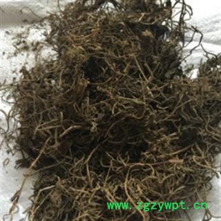 安祁名药正品缬草 毛缬草图2