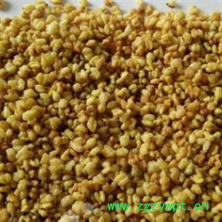 安祁名药优质苦荞茶 黄金苦荞 精品花茶图2
