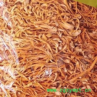 娟子中药 金虫草 金虫草 虫草花 金虫草 北虫草 蛹虫草  产地 吉林省图3