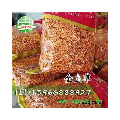 娟子中药 金虫草 金虫草 虫草花 金虫草 北虫草 蛹虫草  产地 吉林省