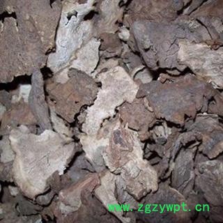 茯苓皮 统 产地 安徽省图2