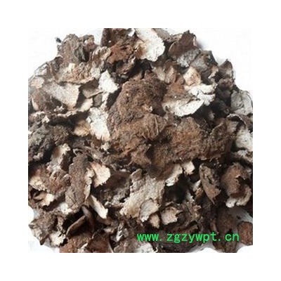 茯苓皮 统 产地 安徽省