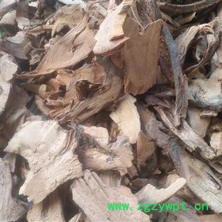 安祁名药正品苎麻根 苎根 苎麻头 川绵葱 银苎 天名精图3