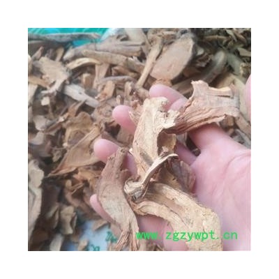 安祁名药正品苎麻根 苎根 苎麻头 川绵葱 银苎 天名精