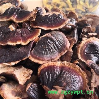 新辉药业中药材灵芝 金边灵芝 无柄小金边图2