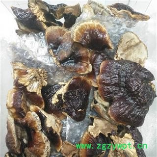 新辉药业优质灵芝 野生灵芝图2