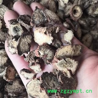 安祁名药中药材丹参 山东选丹参图2