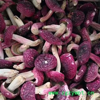 新辉药业红香菇  红菇  菌香味美图2