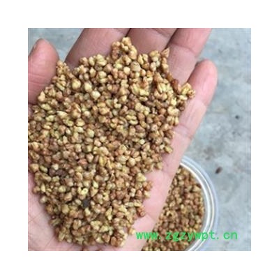 安祁名药精选苦荞 黑苦荞  优质茶用级