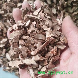 安祁名药正品石菖蒲图2