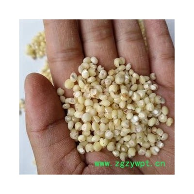 安祁名药药食同源优质白米 粳米 太白米