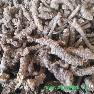 安祁名药正品羌活 川羌活图2