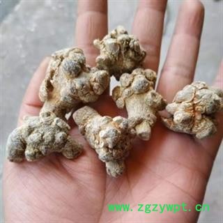 安祁名药三七 水洗60头 产地 云南省图2