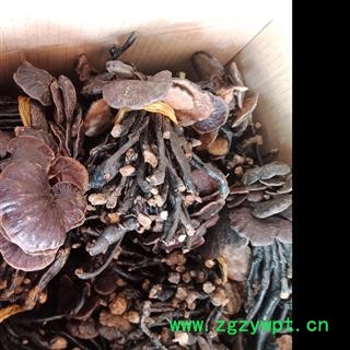 丽丽药业 灵芝竹灵芝中药材批发正品保证实图拍照7天无理由退货退款图2
