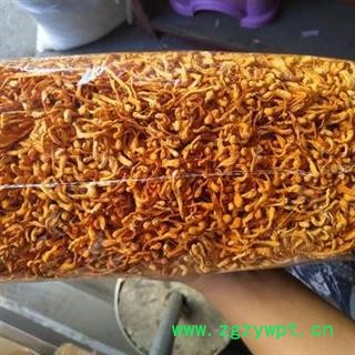 虫草花 孢子头 金虫草花 正品保证质量7天无理由退货退款 安品堂图4