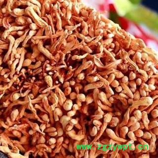 虫草花 孢子头 金虫草花 正品保证质量7天无理由退货退款 安品堂图3