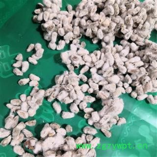 安祁名药中药材野棉花 棉花籽图2